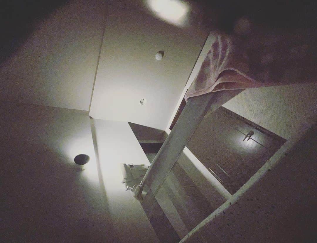 賀来賢人さんのインスタグラム写真 - (賀来賢人Instagram)「寝かしつけまでの流れが完璧すぎた」11月7日 20時31分 - kento_kaku