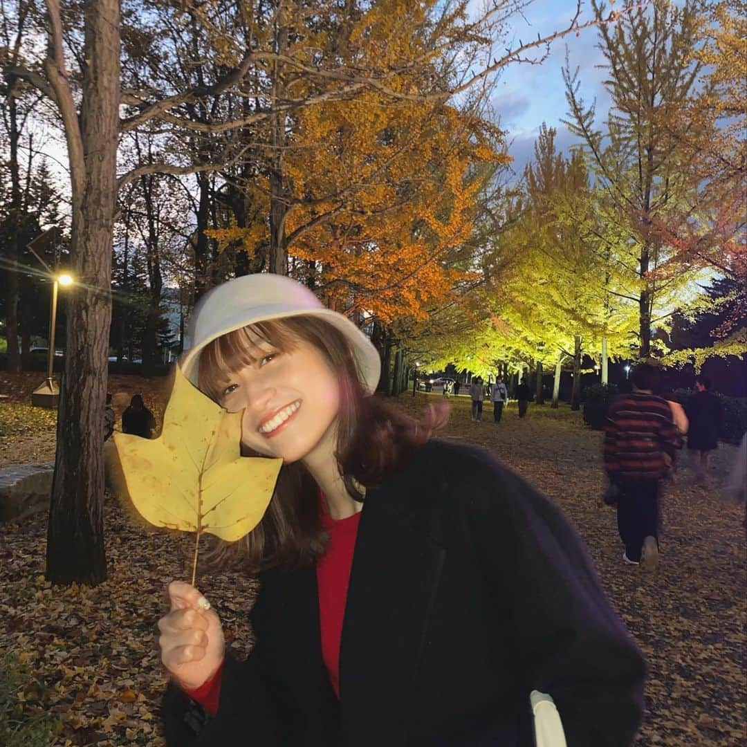 鈴木えりかさんのインスタグラム写真 - (鈴木えりかInstagram)「🍁→⛄️ #銀杏並木」11月7日 20時33分 - eripuu0713