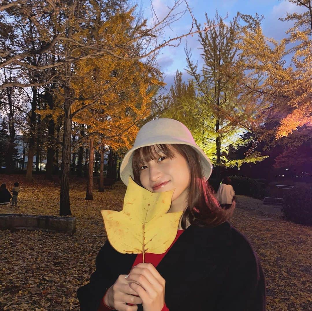 鈴木えりかのインスタグラム：「🍁→⛄️ #銀杏並木」