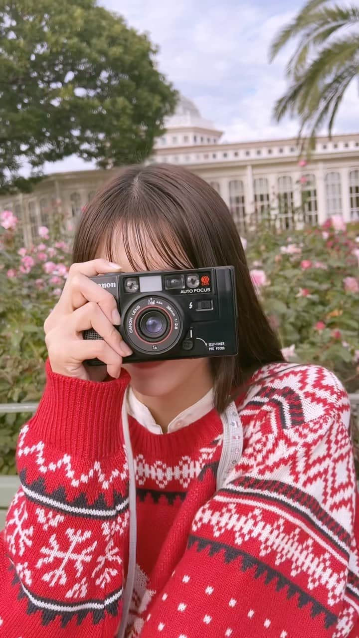 のインスタグラム：「.  明日 ZIP! キテルネ担当です #DisneyChristmas について🎅🏻♡ 本日撮影した撮りたてだよ  あさ６時45分頃からです是非ご覧ください！！！  #ZIP #キテルネ」