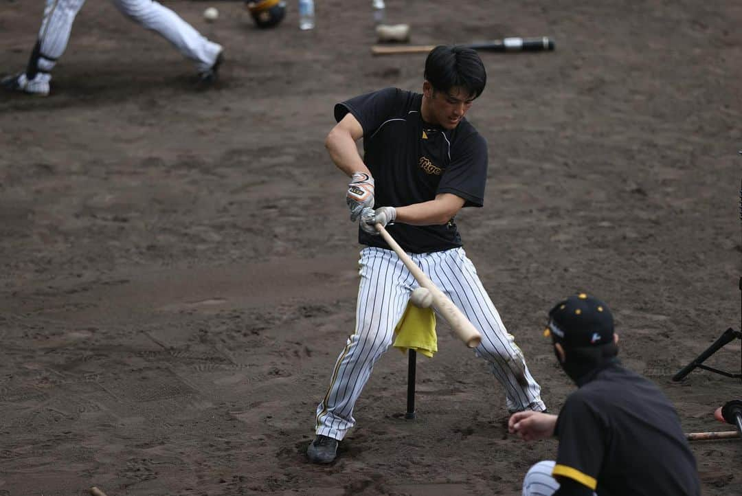 阪神タイガースさんのインスタグラム写真 - (阪神タイガースInstagram)「11月7日、安芸タイガース球場での秋季キャンプ5日目の様子です！ #小幡竜平 選手 #島田海吏 選手 #渡邉諒 選手 #髙寺望夢 選手 #岡留英貴 選手 #梅野隆太郎 選手 #村上頌樹 選手 #及川雅貴 選手 #桐敷拓馬 選手 #西純矢 選手 #岡田彰布 監督 #阪神タイガース  #秋季キャンプ  #高知県安芸市」11月7日 21時46分 - hanshintigers_official