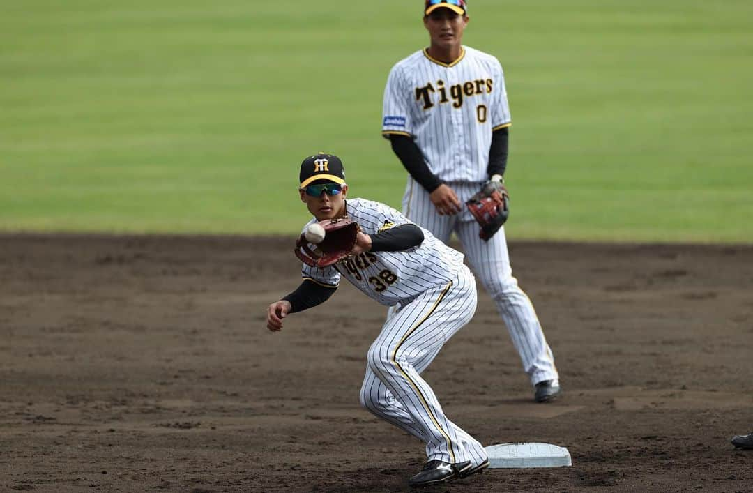 阪神タイガースさんのインスタグラム写真 - (阪神タイガースInstagram)「11月7日、安芸タイガース球場での秋季キャンプ5日目の様子です！ #小幡竜平 選手 #島田海吏 選手 #渡邉諒 選手 #髙寺望夢 選手 #岡留英貴 選手 #梅野隆太郎 選手 #村上頌樹 選手 #及川雅貴 選手 #桐敷拓馬 選手 #西純矢 選手 #岡田彰布 監督 #阪神タイガース  #秋季キャンプ  #高知県安芸市」11月7日 21時46分 - hanshintigers_official