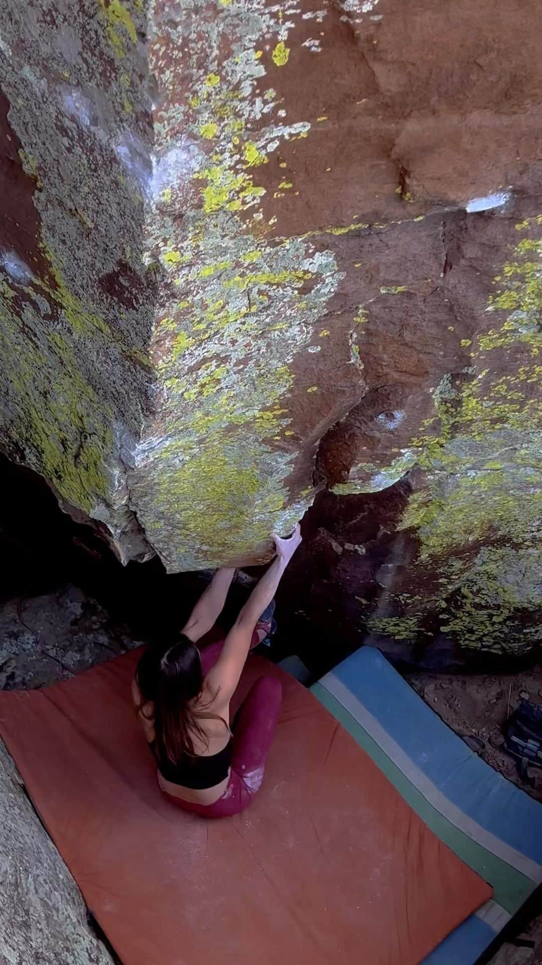 Alexis Mascarenasのインスタグラム：「Got to the top of some new boulders this weekend which is neat.  Here is Elephant Graveayrd v9/10」