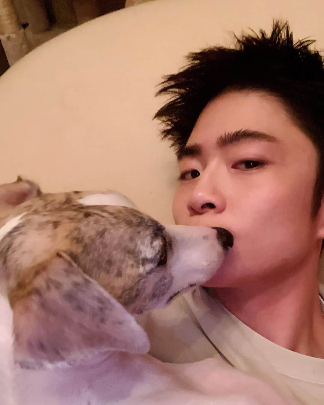 のインスタグラム：「🌝💕🐶」