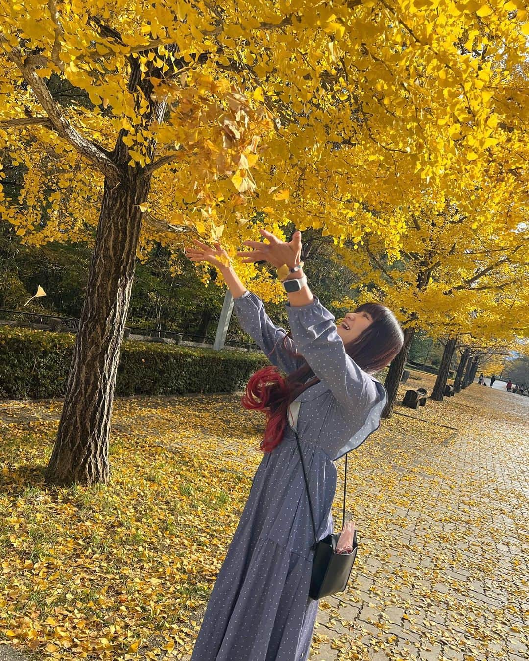 春日萌花のインスタグラム：「2022.11  #秩父ミューズパーク  秩父はいつ行っても楽しいのですが 紅葉シーズンの今の時期は 特に観光に最適！  イチョウの黄葉の名所として知られる 秩父ミューズパークへ🗽  まだ葉がたくさん残っている木もあれば 落ちてしまっているものも  おかげで イチョウ並木だけでなく 黄色の絨毯も楽しめました😌  しかもここには メタセコイアも植えられています🌳  中生代（約2億5,217万年前～約6,600万年前）から生きているとされる植物  古生代後期・ペルム紀の2億8000万年前頃より生存していると言われているイチョウとともに どちらも「生きている化石」と呼ばれています  そんなメタセコイアの葉っぱは なんとオレンジ色に変わるんです🍁 初めて知りました！  イチョウとメタセコイア 鮮やかな黄色とオレンジ色 化石と化石のコラボレーション✨  多くの方に観てほしい！  ぜひ秩父で 美しい景色を楽しんでくださいね⛰   #saitama #radio #prowrestler #prowrestling #weatherforecast  #japan #sightseeing #MoekaHaruhi #プロレス #ラジオ #気象予報士  #春日萌花 #小鹿野町 #埼玉観光 #秩父観光 #秩父 #秩父市 #イチョウ #メタセコイア #紅葉 #黄葉 #自然大好き #ファンラジ795」