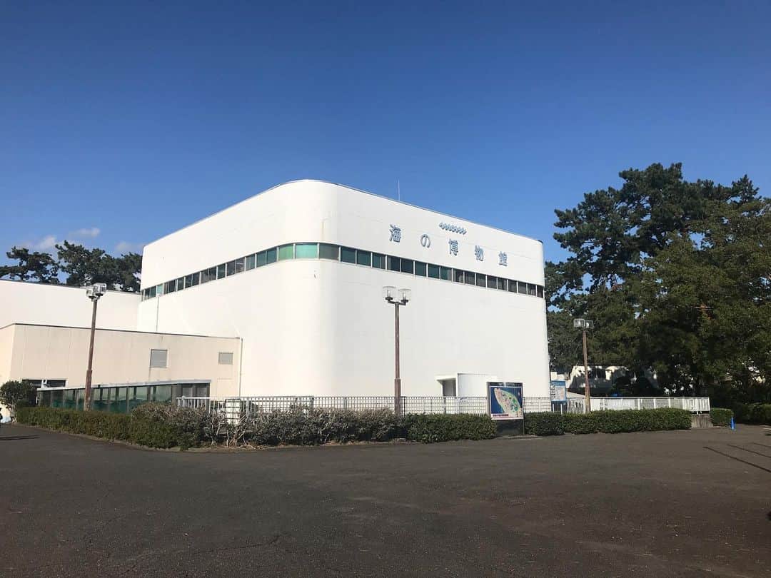 栗原まもるのインスタグラム：「土曜日は 5年ぶりくらいに故郷へ行ってきました。 もう実家もなく、両親も他界していて親戚とも連絡を取っていないので行く理由なんて生まれないだろうと思っていたら夫氏が「東海大学海洋博物館が来年３月で一般公開を止めるから行っておきたい」と言い出しました。 それは私が幼少の頃に何度も行った水族館で規模が小さい割りに入館料が高いなとしか思ってなかったんですが、何やら貴重なものがあるらしく(びわあんこうの標本とか)、私ももう入れなくなるなら最後にもう一度行っておいてもいいよねと。そう思って帰郷してみました。 清水駅に着いたらランチ用のお弁当を買いに行き、海洋博物館がある三保行きのバスに乗り、乗ったバスが海洋博物館行きではなく少し手前が終点となるバスで1キロくらい歩きました。 途中プチトマト自販機があったので200円のを一袋購入。 海洋博物館の左側に行くとすぐ内海なので(右に行ったら外海)そこで海と空を見ながら買ってきたお弁当を食べました。 高級なお寿司屋さん直営のリーズナブルないなり屋さんで買ったお稲荷と鯖寿司と桜海老寿司。 すごく美味しかったです。 プチトマトも甘い。 晴れていて陽射しが暑いくらいだったけど久しぶりに広い空を見た気がして気持ちよかった。 夏は海水浴場になる場所で子供の頃よく泳ぎに来たけど透明度は低く砂は黒く全然素敵な海じゃないのです。 父と一緒によく釣りをした場所でもあります。 (汚いと思っていたはずなのに釣った魚を普通に美味しく食べていたな…w) それでも海はやっぱりいいなと思ってしまった。面倒なので足は浸さなかったけど。  海洋博物館は入り口手前に波を起こすだけの装置があって「あったあった。こんなのあったわw」ってなりました。 中は少し展示の仕方が変わっているところがあって面白かったです。 やっぱり魚は楽しいな…☺️✨ お土産物は何一つ買いたいものはなかったw 隣に自然史博物館というのもあって夫氏がそれも見たいというので共通券(バラで買うより安い)で見てきたけどほとんど印象が残ってなかった理由がわかりました。 つまらないwww 多分子供の頃一回しか行ってないと思う。 つまらなかったから行きたがらなかったんでしょうねw ササッと見て清水駅に戻りました。 電車で静岡駅に行き、セノバという商業ビルに入っている「さわやか」に行き、110分待ちと告げられたけど想定していたので名前を書いて待つことに。 私は疲れてたのでその間地下のカフェでお茶をして、夫氏は前に取材した文房具屋さんが近くだったのでそこに行き。 私は静岡育ちだけどさわやかに行ったことがなかったので(私がいた頃は多分静岡市になかった)初さわやかでした。 おにぎりハンバーグ、美味しかったです✨ 朝は意味不明に目覚ましをかけ忘れていて寝坊したり、急げば乗れるかなと思った新幹線に乗れなかったりとハプニングがあったのでどんな１日になるやらと少し心配になったんですがとても良い日でした。 夏から(まあワクチン３回目打った後からですよ)波はありつつもずっと体調が怪しくて遠出できるか不安があったのですが問題なく、むしろ元気になりました。 生まれた土地のエネルギーをもらったのかなあ？ 家でいくら休んでいても回復しなかったものがあっという間にチャージされた感じがあります。 特にそんな郷土愛とかないんですけどねw  ところで富士山は見損ねました。 内海でなく外海のほうに行けば(しかも近い)多分見られたんだと思うんだけどなぜか内海だけで満足してしまった。 もっと写真を撮っておけば良かったな。 海の写真も空の写真もランチの写真も撮らなかった😅 まあいいか。」