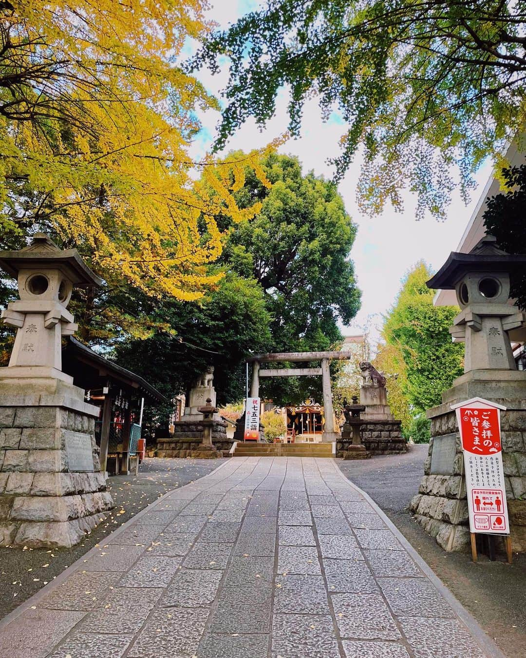 Шамов Дмитрийさんのインスタグラム写真 - (Шамов ДмитрийInstagram)「Осень 🍂   Вот и в Токио постепенно наступает настоящая осень. В воздухе уже стоит ноябрьская прохлада, а деревья меняют свой наряд на яркие краски. Насыщенное голубое небо, пригревающее остатками лета солнце, опадающие разноцветные листья и такое приятное чувство умиротворения, гармонии в душе.  Сейчас именно тот недолгий момент той самой тёплой осени, которую я так люблю. Лучшее пора в году для меня 😌  А как у вас с погодой сейчас?   #япония #токио #осень #листва #природа #шамовдмитрий #аниме #japan #tokyo #anime #autumn #fall #leaf #shamovdmitry #shrine #日本 #東京 #秋 #紅葉 #旅行 #外国人風 #外人」11月8日 13時32分 - shamovdmitry