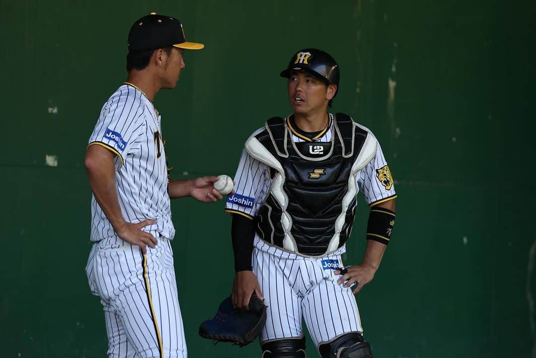 阪神タイガースさんのインスタグラム写真 - (阪神タイガースInstagram)「11月8日、安芸タイガース球場での秋季キャンプ6日目の様子「野手編」です！ #豊田寛 選手 #髙山俊 選手 #渡邉諒 選手 #北條史也 選手 #小幡竜平 選手 #坂本誠志郎 選手 #小野寺暖 選手 #熊谷敬宥 選手 #梅野隆太郎 選手 #大山悠輔 選手 #岡田彰布 監督 #阪神タイガース  #秋季キャンプ  #高知県安芸市」11月8日 21時52分 - hanshintigers_official