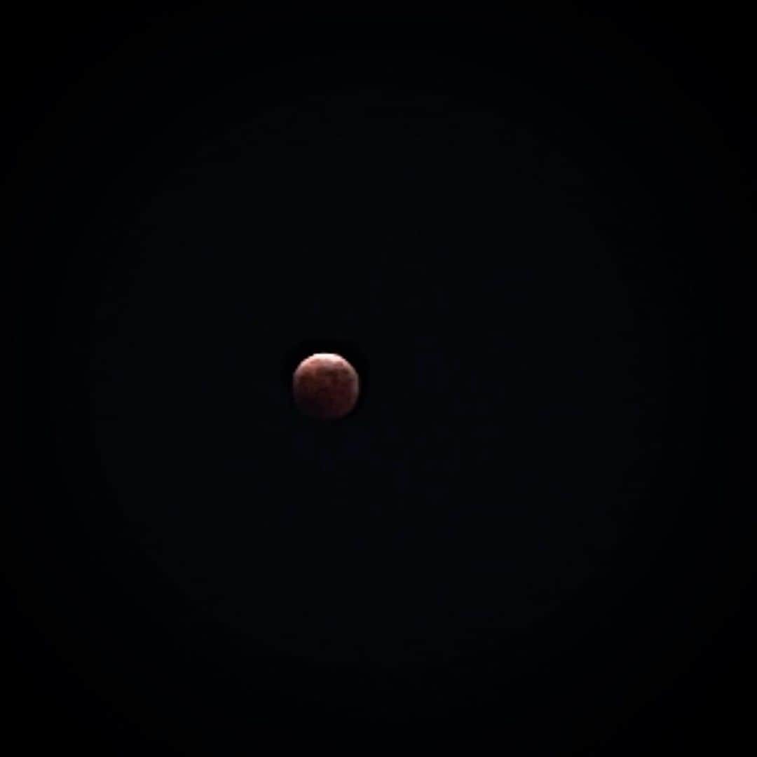 千秋さんのインスタグラム写真 - (千秋Instagram)「何かに取り憑かれたように撮って載せる、みんなやってる #皆既月食 #赤い月 #moon #🌕」11月8日 22時51分 - chiaki77777