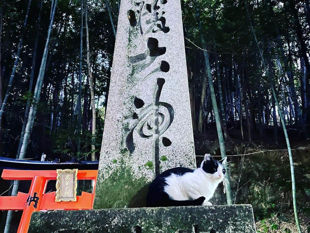 川和真奈美さんのインスタグラム写真 - (川和真奈美Instagram)「天王星色🌘 442年ぶりのHello  光と闇が重なって 吸い込まれそうな月でした 魅了するってこういうこと  #天王星色  #uranus  #月食  #月食満月  #442  #月が綺麗ですね #黒に咲く花 #月みたいな女になりたい #歴史を刻め  #足止めて月撮る人に 悪い人いない #余裕のある生活  #こいよ  #京都  #月は都内撮影」11月8日 22時53分 - kawamana23