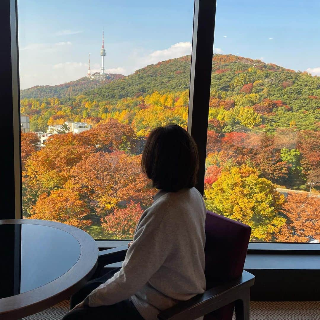 カン・ハンナのインスタグラム：「🍁」