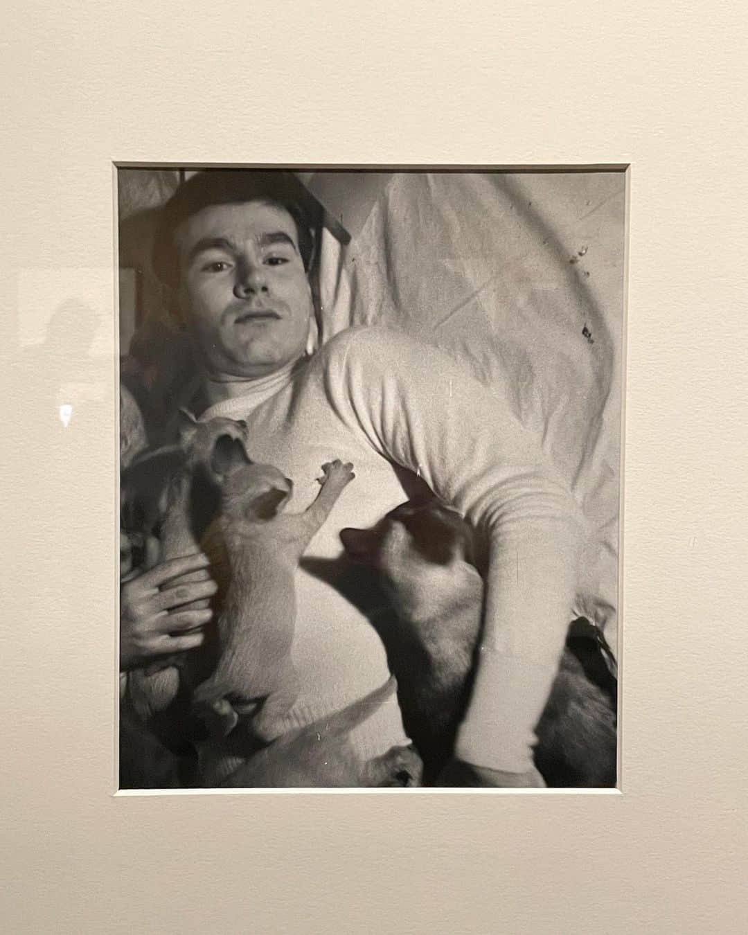 藤田日和のインスタグラム：「ANDY WARHOL KYOTO」