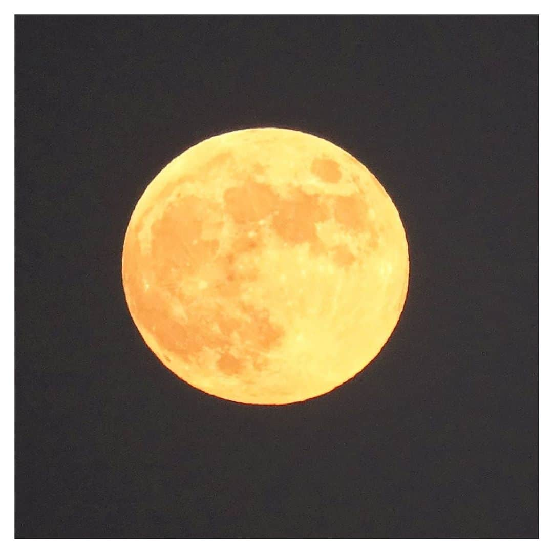 さだまさしさんのインスタグラム写真 - (さだまさしInstagram)「１１月の満月🌕 ビーバームーン . #満月 #ビーバームーン #さだまさし #sadamasashi」11月8日 18時18分 - sada_masashi