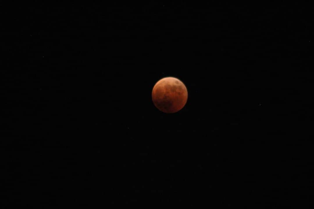 川島カヨさんのインスタグラム写真 - (川島カヨInstagram)「赤い月。  あと1時間ぐらいはみられますよ  #皆既月食」11月8日 19時32分 - pandakayo