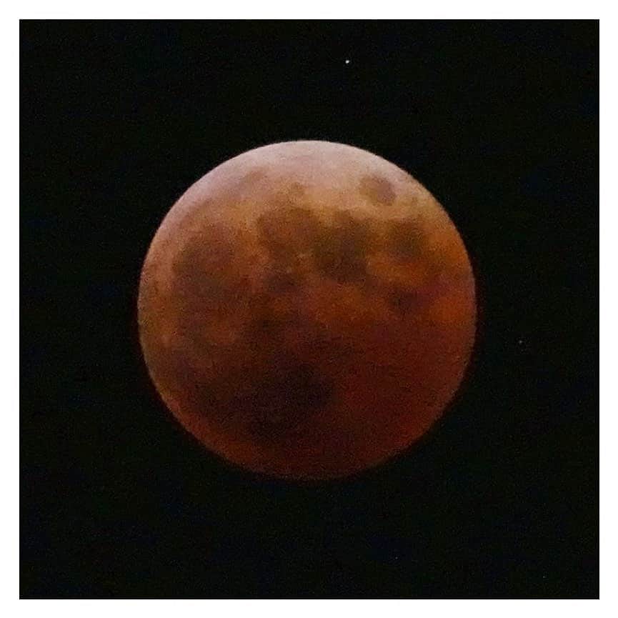 さだまさしさんのインスタグラム写真 - (さだまさしInstagram)「皆既月蝕 赤い月 . #皆既月食 #皆既月蝕 #赤い月 #さだまさし #sadamasashi」11月8日 19時52分 - sada_masashi