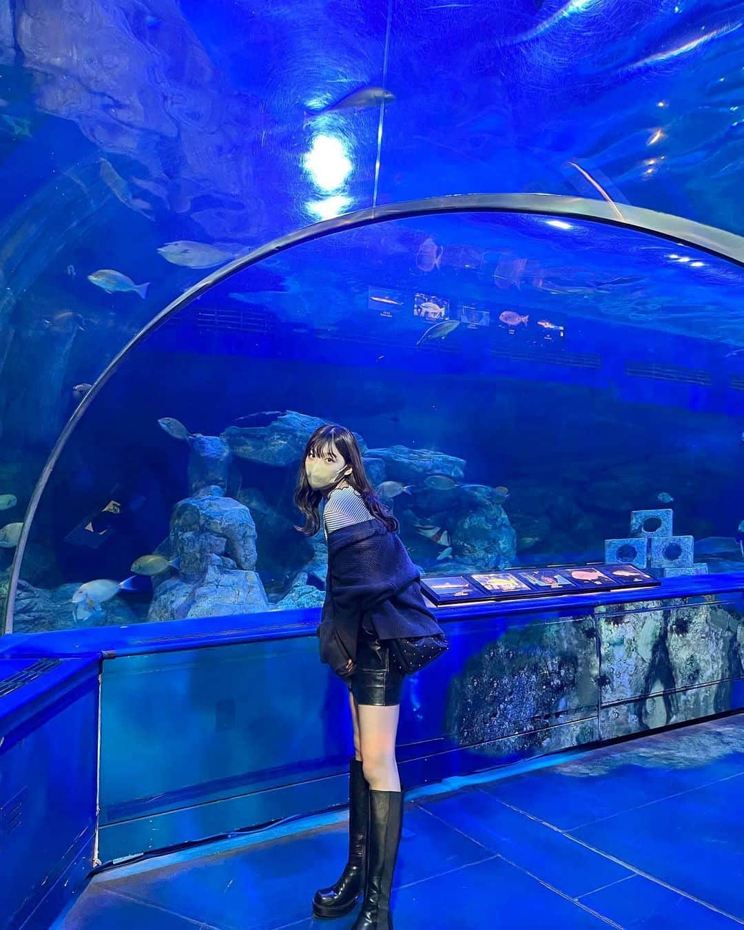 川田明日未さんのインスタグラム写真 - (川田明日未Instagram)「お友達と水族館にいってきたよ^ ^🐟  楽しかった〜🐟  #ナマズ #しながわ水族館」11月8日 20時59分 - asu.min_