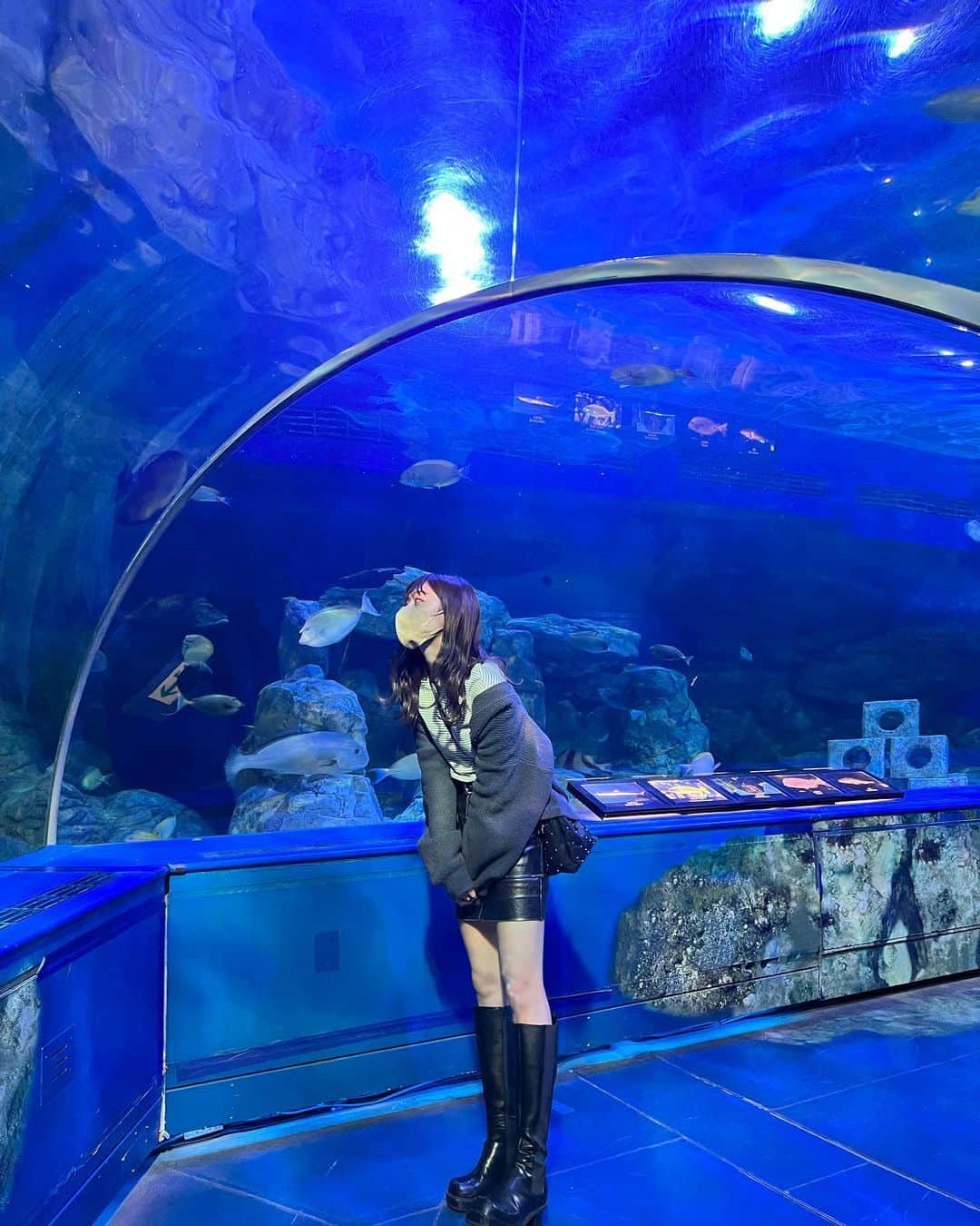 川田明日未さんのインスタグラム写真 - (川田明日未Instagram)「お友達と水族館にいってきたよ^ ^🐟  楽しかった〜🐟  #ナマズ #しながわ水族館」11月8日 20時59分 - asu.min_