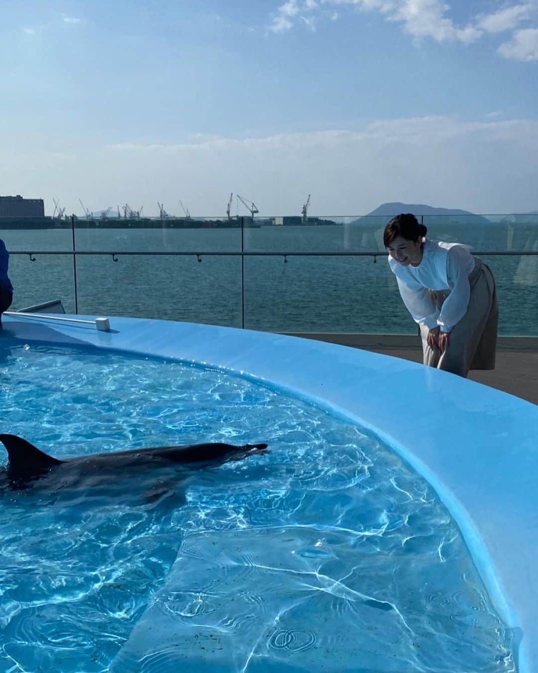 中野美奈子のインスタグラム：「秋晴れの空の下、撮影で四国水族館へ！ 子どもと一緒じゃない水族館もゆっくりできてなかなか良かったです😁 お仕事を忘れて楽しんでしまいました。  飼育員の方のご協力のもと、イルカたちもこんな近くまで🐬 可愛いなぁ♡  お昼に食べたハンバーガーも絶品でした！ 四国水族館はごはんも美味しいから嬉しい。  今度は子供と一緒にハンバーガー食べよう🍔 水族館の皆様ありがとうございました。  @shikoku_aquarium   #四国水族館 #撮影 #イルカ #炭火焼きハンバーガー  #香川県 #うどん県それだけじゃない香川県   #中野美奈子」
