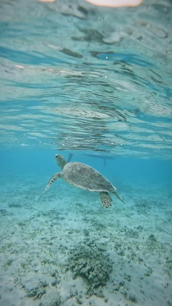 青山恵梨子のインスタグラム