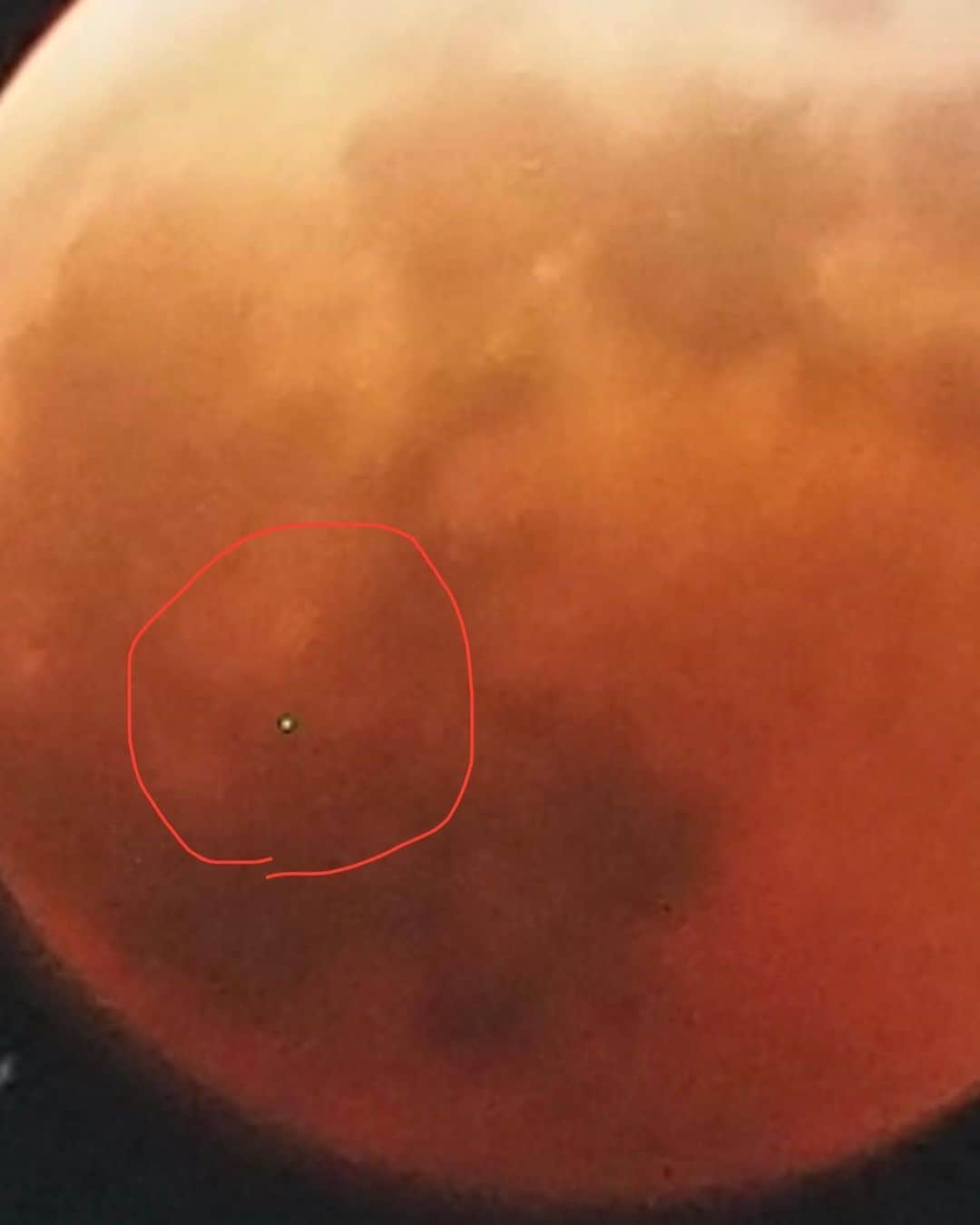 要潤さんのインスタグラム写真 - (要潤Instagram)「昨夜の皆既月食&惑星食。  アップで見てみると、謎の飛行物体が…(赤丸部分)！？  連続で見ると移動してるし… これって、U、UFOですかね？  #皆既月食 #惑星食 #UFO  Last night's total lunar and planetary eclipse.  If you zoom in on this photo, you can see a mysterious flying object(red circle part)  And if you look at continuosly, it's look like it's moving. Is this U...UFO?? tell me anyone.」11月9日 7時23分 - jun_kaname_official