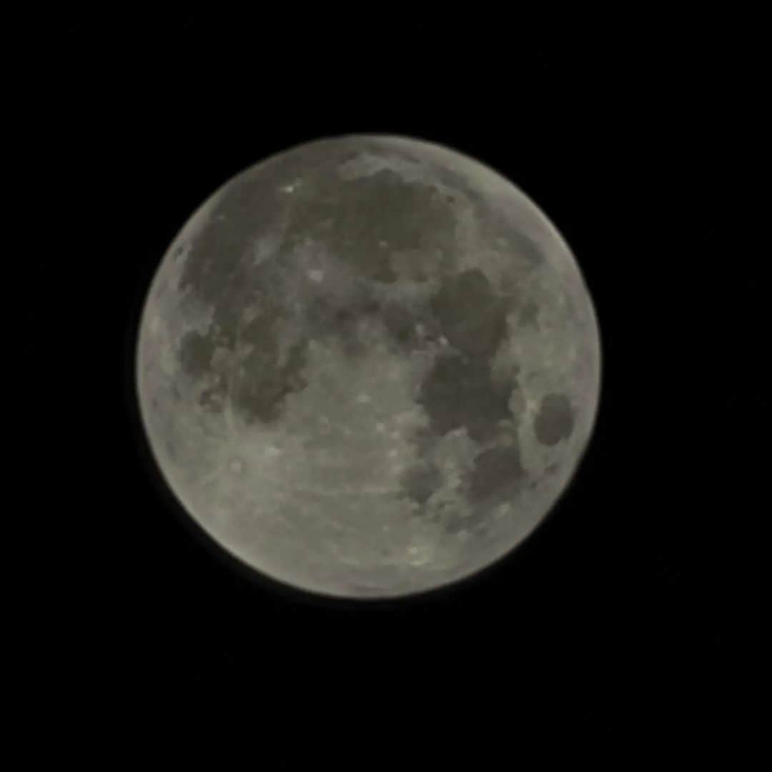 折原ゆかりさんのインスタグラム写真 - (折原ゆかりInstagram)「今日のビーバームーン GALAXY note20 ultraにて撮影しました！ 私は本当に月が好き。愛してます。」11月9日 0時40分 - yukariorihara