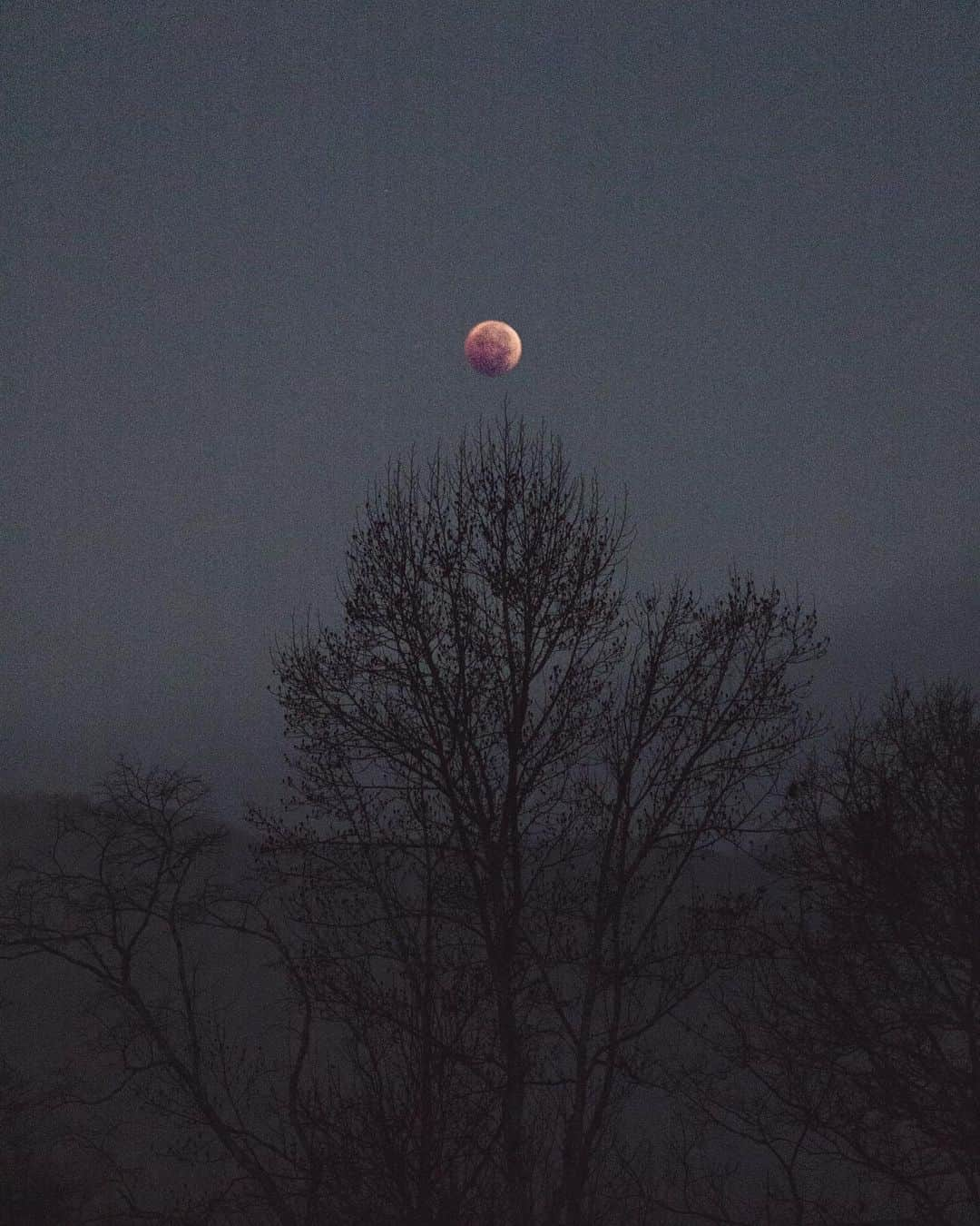 Cole Riseさんのインスタグラム写真 - (Cole RiseInstagram)「handheld off the back porch, embracing the crunchy 20,000 ISO before prioritizing coffee.」11月9日 8時53分 - colerise