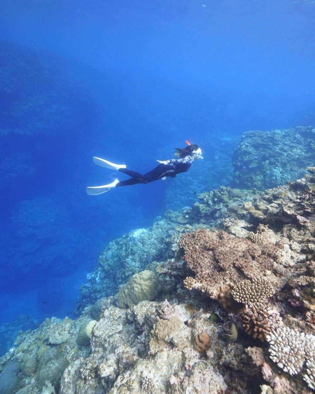 佐藤ゆうきさんのインスタグラム写真 - (佐藤ゆうきInstagram)「ライフジャケット無しで人生初のスキンダイビング🐬  カナヅチだと思ってたけど… 意外と泳げた‼︎  泳ぐの楽しくてフィンも良いの買っちゃいました🏝  10メートル以上潜るのはまだ耳抜があまり上手くなくて痛いからゆっくり練習します😊」11月9日 9時04分 - yuuki_sto