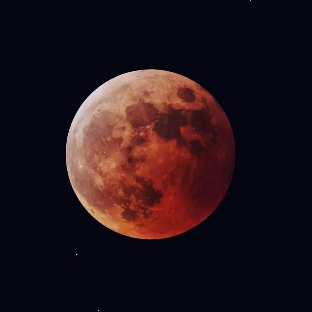 アンミカさんのインスタグラム写真 - (アンミカInstagram)「昨夜の442年ぶりの天体ショー、生きてるうちには2度と見られない空の奇跡、沢山の人と同じ空を見上げられて幸せでした✨✨😊✨✨  皆既となった月は、「赤銅色（しゃくどういろ）」に見えて86分間続き、その後は徐々に月は地球の影から抜け部分食が終わりました。  月が皆既食中で暗いため、薄青色の天王星が見つけやすかったのではないでしょうか？  旦那様　@theodoremillertokyo  は天体撮影が趣味🔭⭐️   毎回、空のロマンを撮影してくれます。シェアしますね😘  本日11/9(水)は ・22:00〜22:45 NHK 【世界四大化計画】に出演です⭐️  全力をかけてのプレゼン、是非、ご覧くださいませ😍」11月9日 9時49分 - ahnmikaofficial