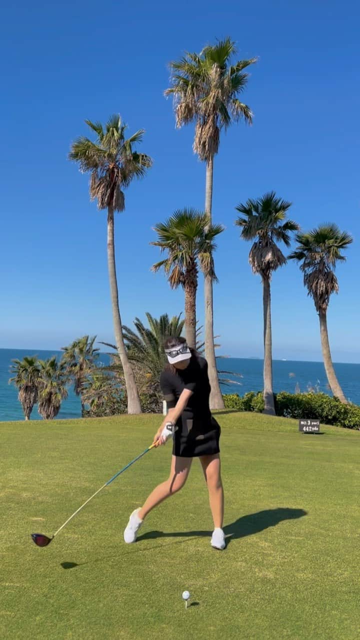 まいまいのグルメインスタ