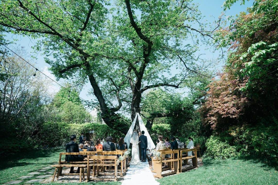 ラクラリエールのグルメインスタ