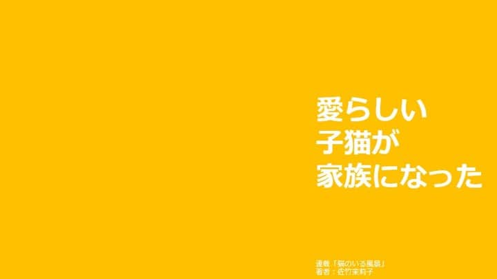 のインスタグラム：「子猫をFIPで亡くし悲しみにくれる一家が、新しい猫を迎えるまでの葛藤を描きます。前後編の前編です。連載「猫のいる風景」から  記事は、ストーリーズのリンク、 またはこちらのURLをコピペしてください↓ https://sippo.asahi.com/article/14740833」