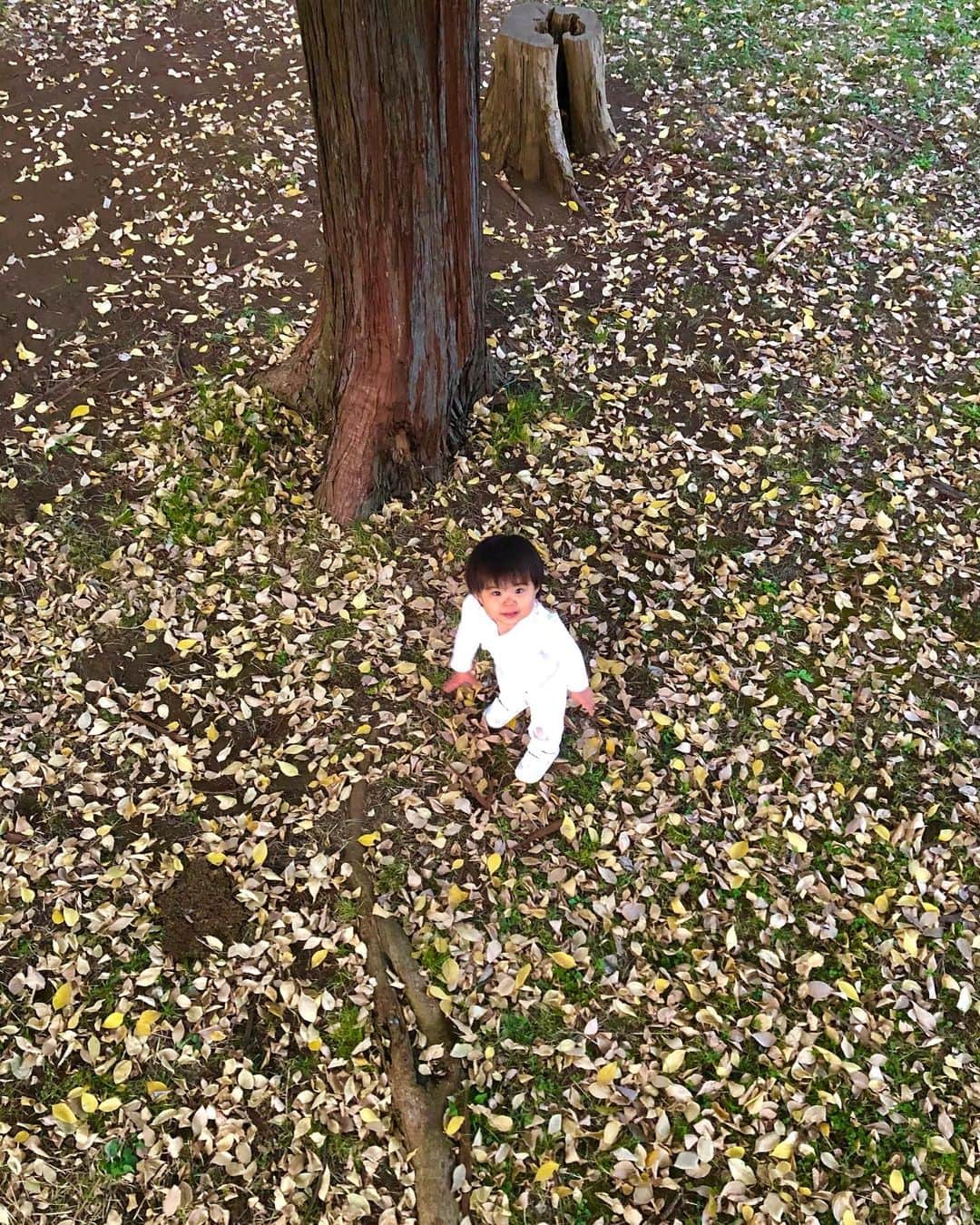のインスタグラム：「こんばんは☆ 今日もいい天気でしたね〜☀︎ 明日、モニタリングに祥太と出ます！ 良ければ是非見てください♪  ベビと公園行った時に木登り教えてあげたよ^_^上から見てもかわい♡ また遊ぼうねー♡  #斉藤慶太#俳優#職人#パパ#モニタリング#明日#ロケ#楽しかった#ベビ子#紅葉 #かわいい#love」