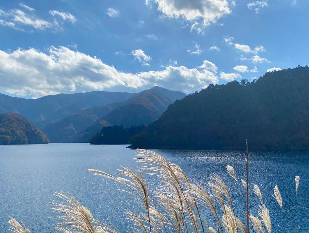 のインスタグラム：「. 休息はとれていますか🌾」