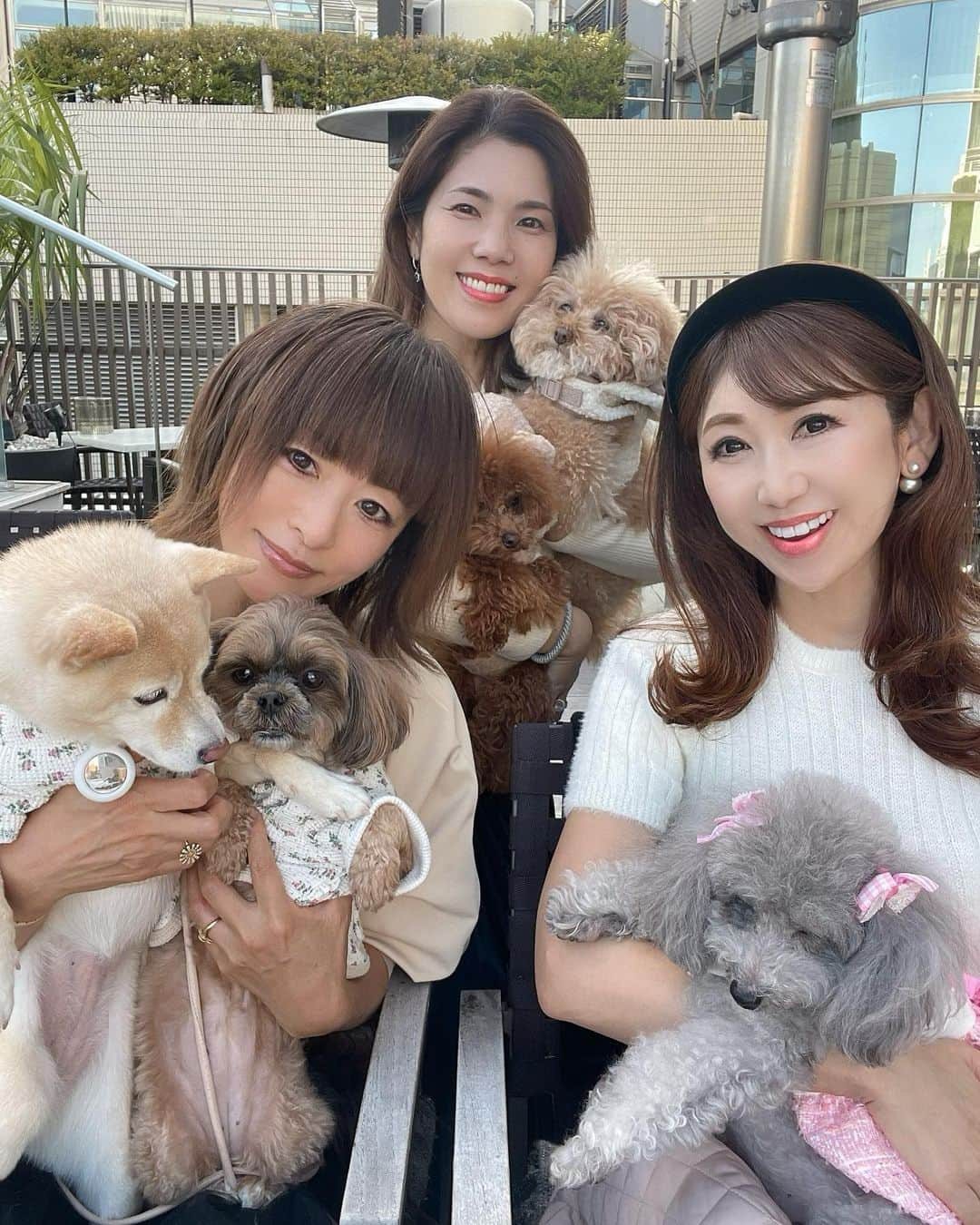 和泉佳子さんのインスタグラム写真 - (和泉佳子Instagram)「今日は、 @sae.kamata.lovable と、 @yoshiko.fujita221 と、カシータ青山のテラスで子連れ🐶ランチ会でした😊  合計5匹のワンズ達🐶🐩🐕🐩🐶  終始賑やかで、ワンズ達だけでお写真を撮った時は、カメラのこちら側で私達ママ達が身振り、手振りでひと騒動😆✨笑  是非、その微笑ましい様子を動画でご覧下さい😉💕  みんなで思い出に残るお写真が撮れました🥰  ところで、今回、ワンズ5匹と一緒にランチが出来るレストランを探すのにひと苦労しました…  そんな中、今日私達がランチに伺った「カシータ青山」のテラス席は、広々としていて、寒くないようにストーブも備え付けてあって、冬にはナント、テラス席にこたつが登場するんだそうです❣️  コタツでランチ、楽しそう🧡  しかも、スタッフの方々がとても感じが良くて、皆さんワンズ達にとても優しくて、快適に、楽しくランチする事が出来ました☺️  カシータの皆様、ありがとうございました🙏💕  またコタツの季節に是非伺います😊💕  http://www.casita.jp/casita/  #和泉佳子　#ポロちゃん　#テラスランチ　#ランチ日和　#カシータ青山　#ランチ　#チワプー  #犬好き　#犬のいる暮らし  #犬好きな人と繋がりたい」11月10日 0時09分 - yoshiko_izumi