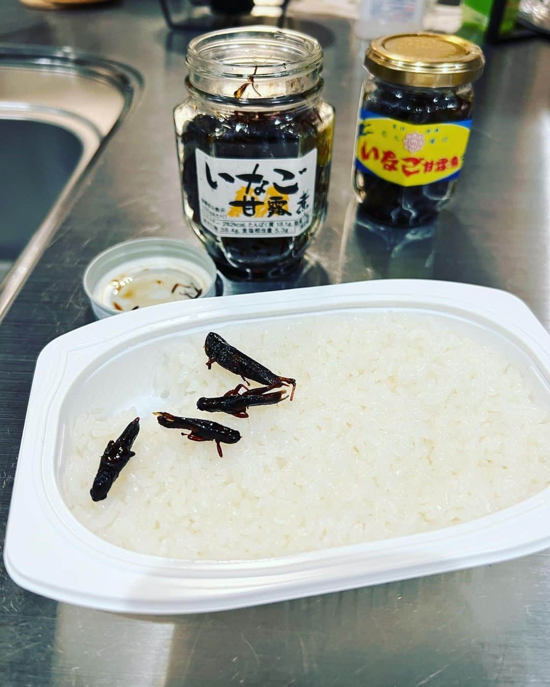 佐々木彰生さんのインスタグラム写真 - (佐々木彰生Instagram)「唯一、躊躇なく食べられる昆虫。いなご #いなご  #昆虫食」11月10日 0時42分 - sasattyo_akimaru