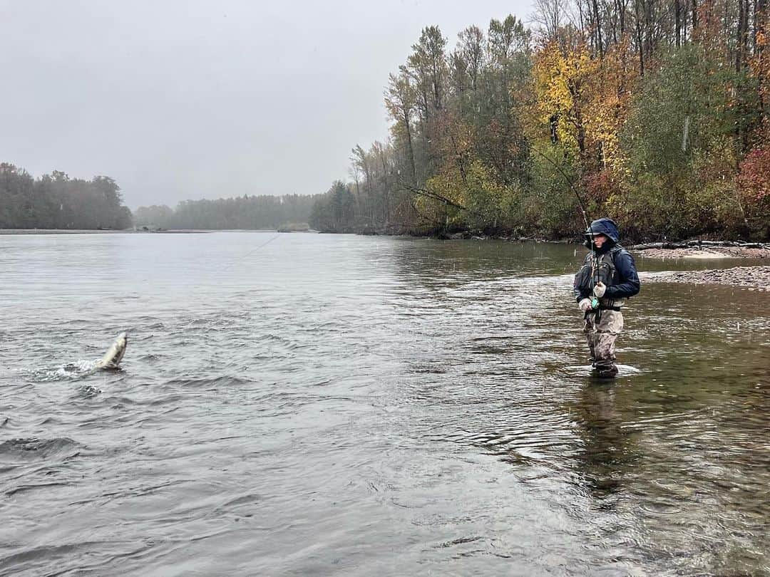 クリスチャン・マイケル・クーパーさんのインスタグラム写真 - (クリスチャン・マイケル・クーパーInstagram)「Finally out fly fishing.  . . #fishing #flyfishing #squamish #catchandrelease」11月10日 12時22分 - cooper.christian.michael