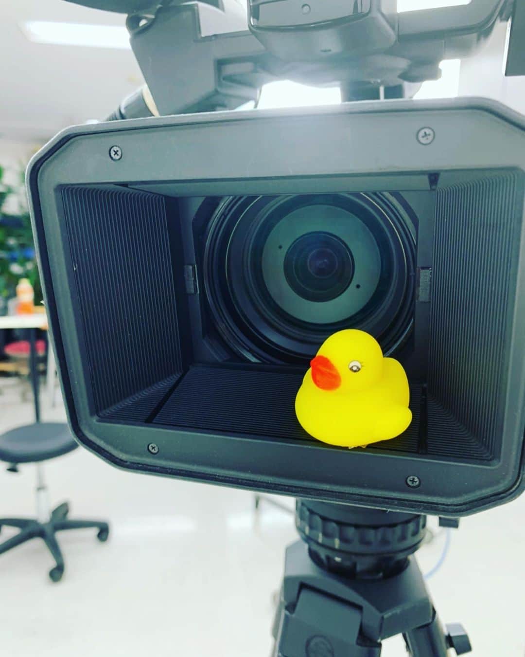 SHELLY（シェリー）のインスタグラム：「今週のSHELLYのお風呂場の動画の更新はお休みです！来週のアップを楽しみにしててくださいね！！  あげる回数は減りますが、一本一本に魂を込めて作ってます！！  タメになる！と思っていただけるものを出せるように頑張りますので、ぜひ見て応援してください🥺  そして先週上げた動画、 https://youtu.be/syvDZVHFMqQ に対するコメント、本当にたくさんありがとうございます😭  いろんな方の実体験や想いを寄せていただき、読んでて胸が熱くなりました。外に出しづらい内容もあったと思いますが、どれもきっとコメントを読んでる誰かのタメになってると思います！勇気づけられたり、自分ももしかして？と気づきになったり、何より性暴力サバイバーが自分を責めなくなることが大切だと思うので、皆さんの言葉がその手助けになると思います！  本当にありがとうございます！  動画を見て共感していただけたら是非概要欄の署名もチェックしてくださいね。  そして、今回みたいなコメントに対するお返事動画、今後も続けたいと思うので、ぜひコメント欄にいろいろ残してください！」