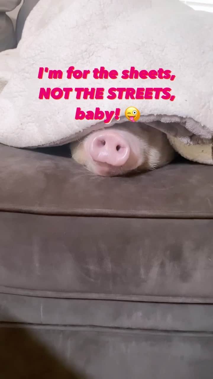 のインスタグラム：「I'm for the sheets, not the streets, baby 😜」