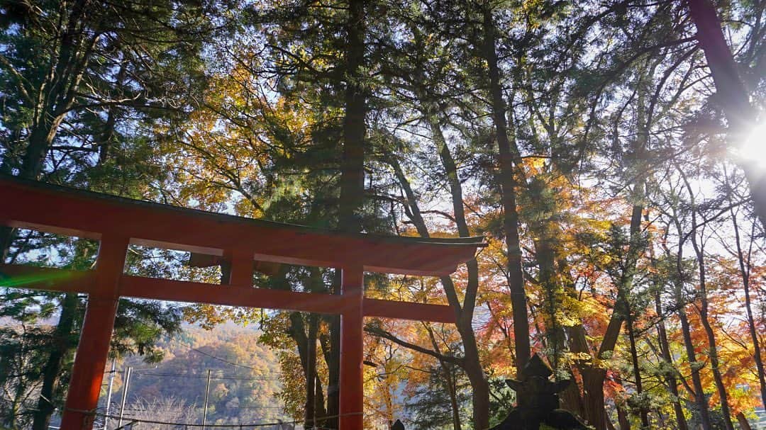 松島庄汰さんのインスタグラム写真 - (松島庄汰Instagram)「秋やん  #お洒落やん」11月10日 20時44分 - shotamatsushima