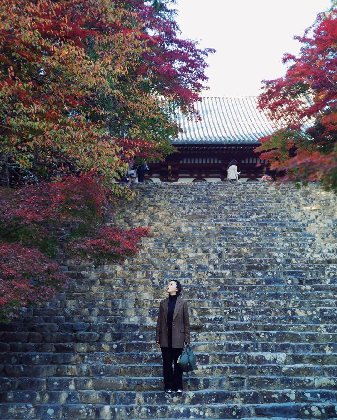 高山都さんのインスタグラム写真 - (高山都Instagram)「今年はすこし紅葉が早いそうで、本当にイロトリドリに染まった木々たちと京都のお寺の美しさに、何度も自然と声が出たくらい素敵でした。 #そうだ京都行こう　の秋のビジュアルにもなっている神護寺、わぁーこの階段だーってテンションが上がったのでした。 住職がおっしゃってたけど、紅葉は水が多くて陽当たり良くて寒くなると赤くなるのだそう。  そして、秋の名所&スイーツチケットだと、京都らしいおやつもお得に楽しめます！このモンブランの抹茶アイス美味しかったなぁー。   #ひかりの京都 #神護寺 #仁和寺 #PR」11月10日 13時46分 - miyare38