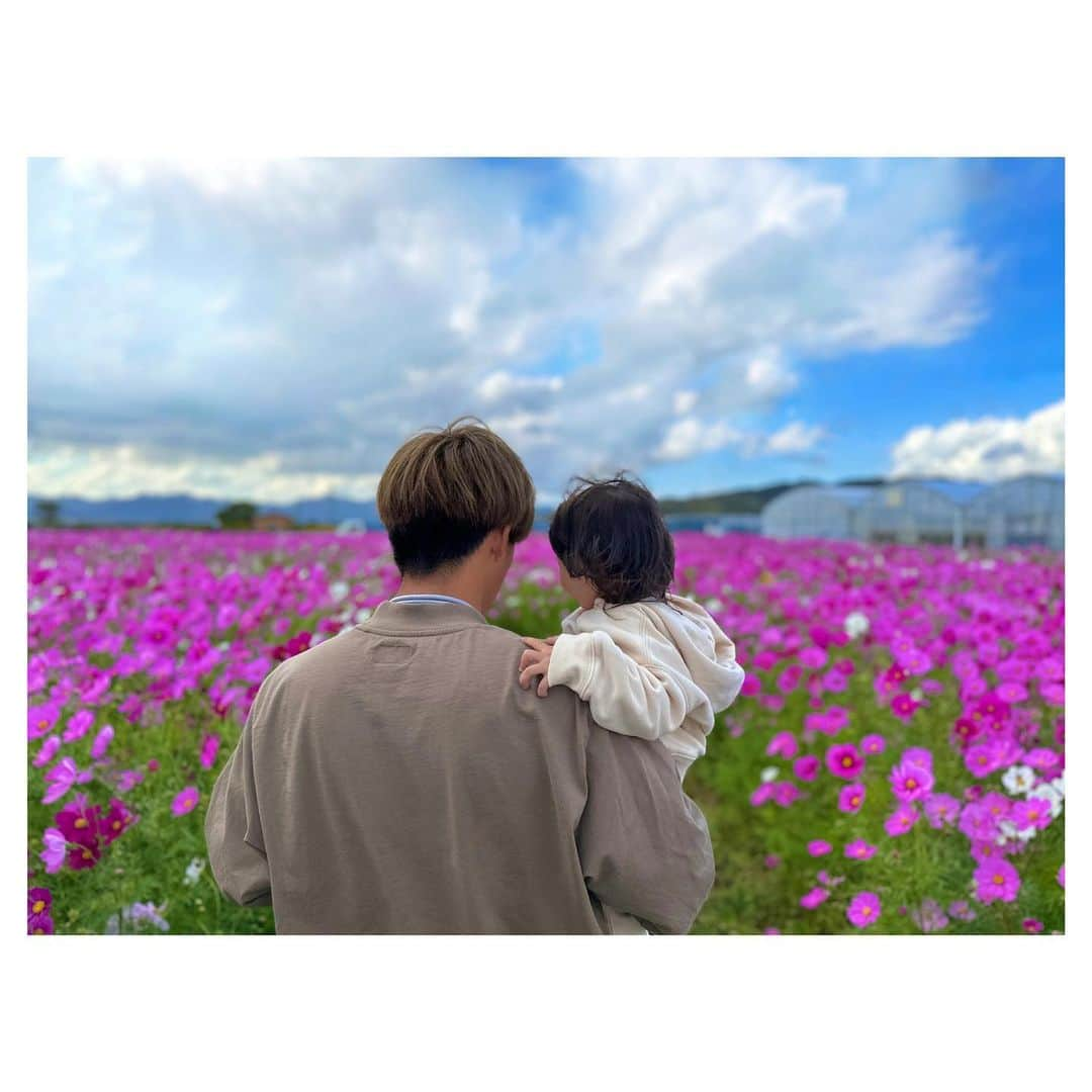 松尾薫のインスタグラム：「❃  花の海のコスモス𓇢  𓆸  　今年も行けました🤍(10月に)  #山口県 #花の海 #コスモス  #山陽小野田市  #山口観光」