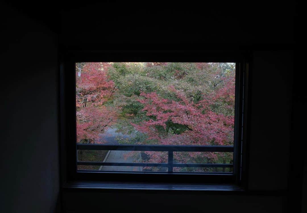 高垣麗子さんのインスタグラム写真 - (高垣麗子Instagram)「* #再訪  究極のシンプルとは 究極の贅沢なんだと思う  * #さか本 #湯宿さか本 #noto #🍁」11月10日 16時14分 - reikotakagaki