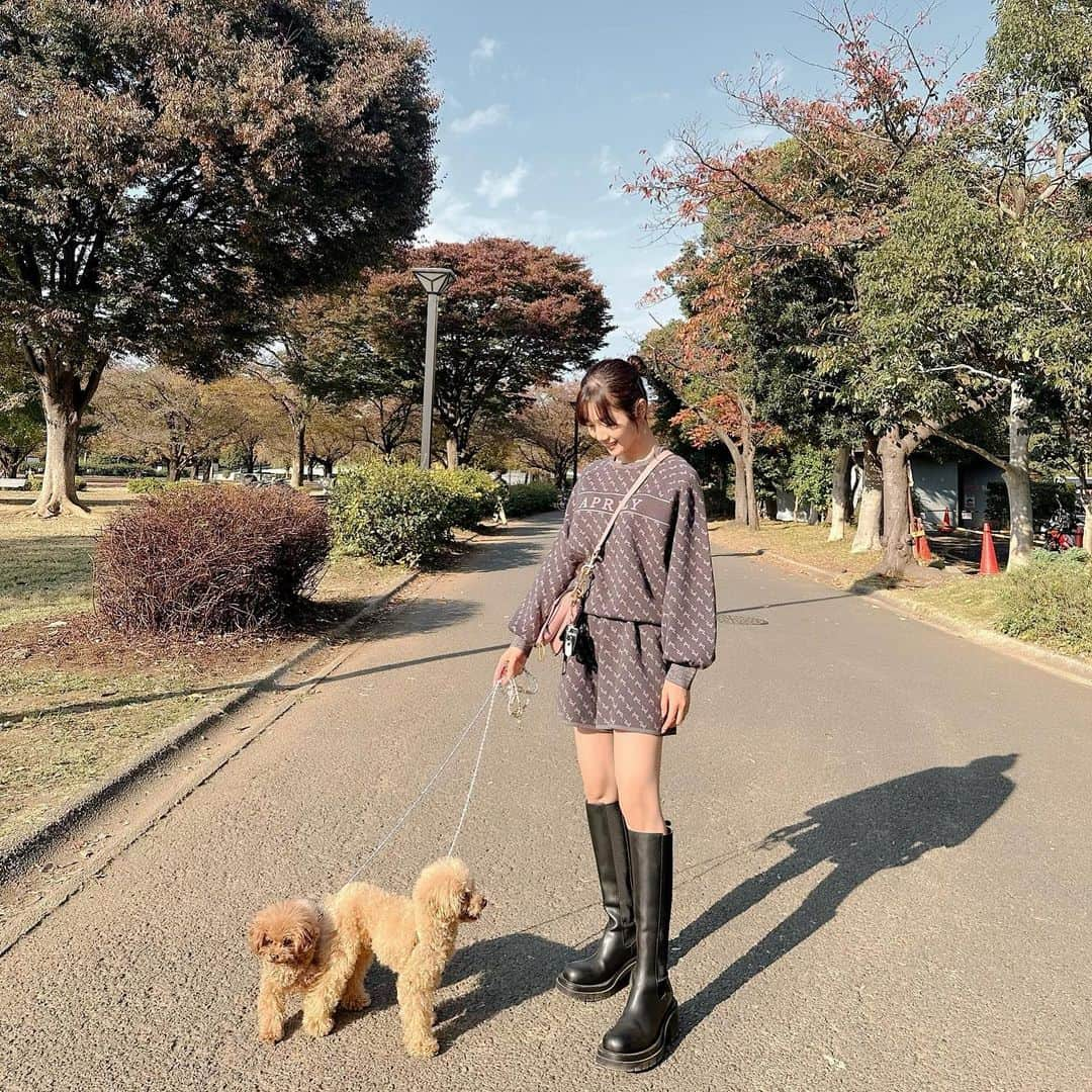 ほしのこさんのインスタグラム写真 - (ほしのこInstagram)「秋のお散歩が1番気持ちいい🍁🍂🐶 いつもティムの帰りたいアピールが始まったら帰ります😂  #outfit #ファッション#コーディネート  セットアップ @aprily_officialsite  バッグ @dior  ブーツ @newbottega」11月10日 21時51分 - hoshinoko728