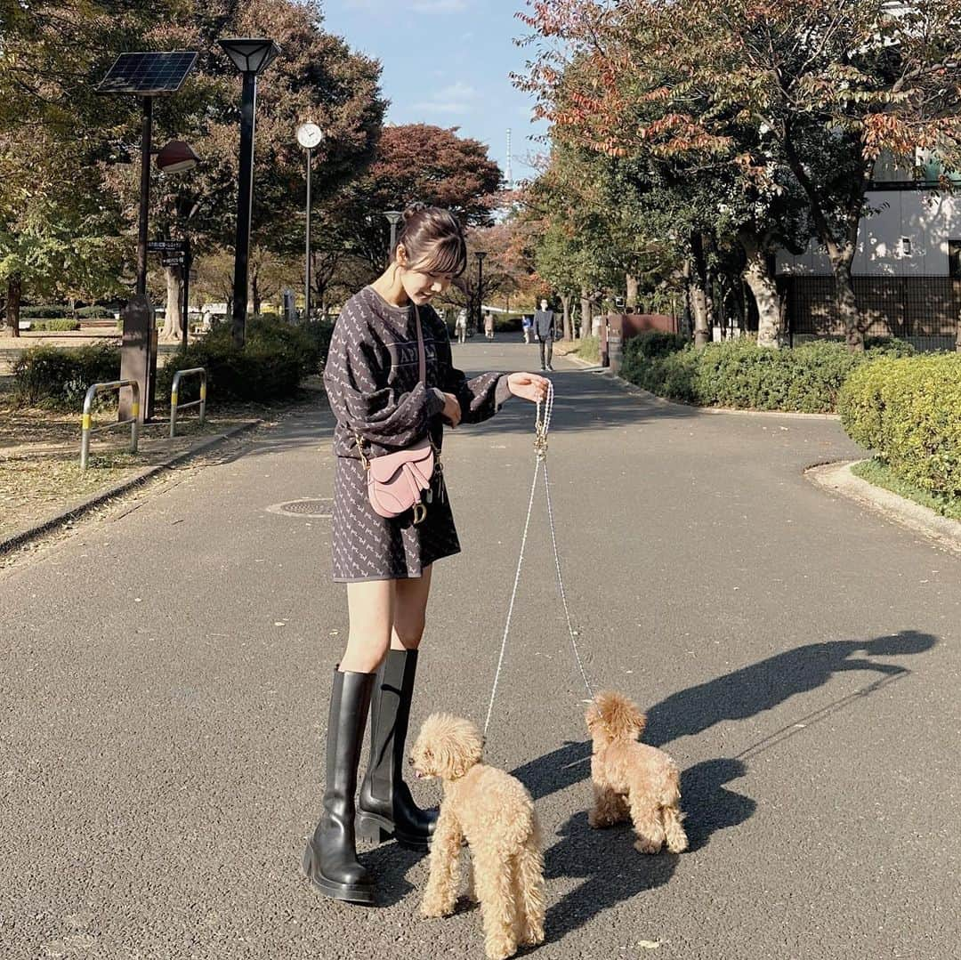 ほしのこさんのインスタグラム写真 - (ほしのこInstagram)「秋のお散歩が1番気持ちいい🍁🍂🐶 いつもティムの帰りたいアピールが始まったら帰ります😂  #outfit #ファッション#コーディネート  セットアップ @aprily_officialsite  バッグ @dior  ブーツ @newbottega」11月10日 21時51分 - hoshinoko728