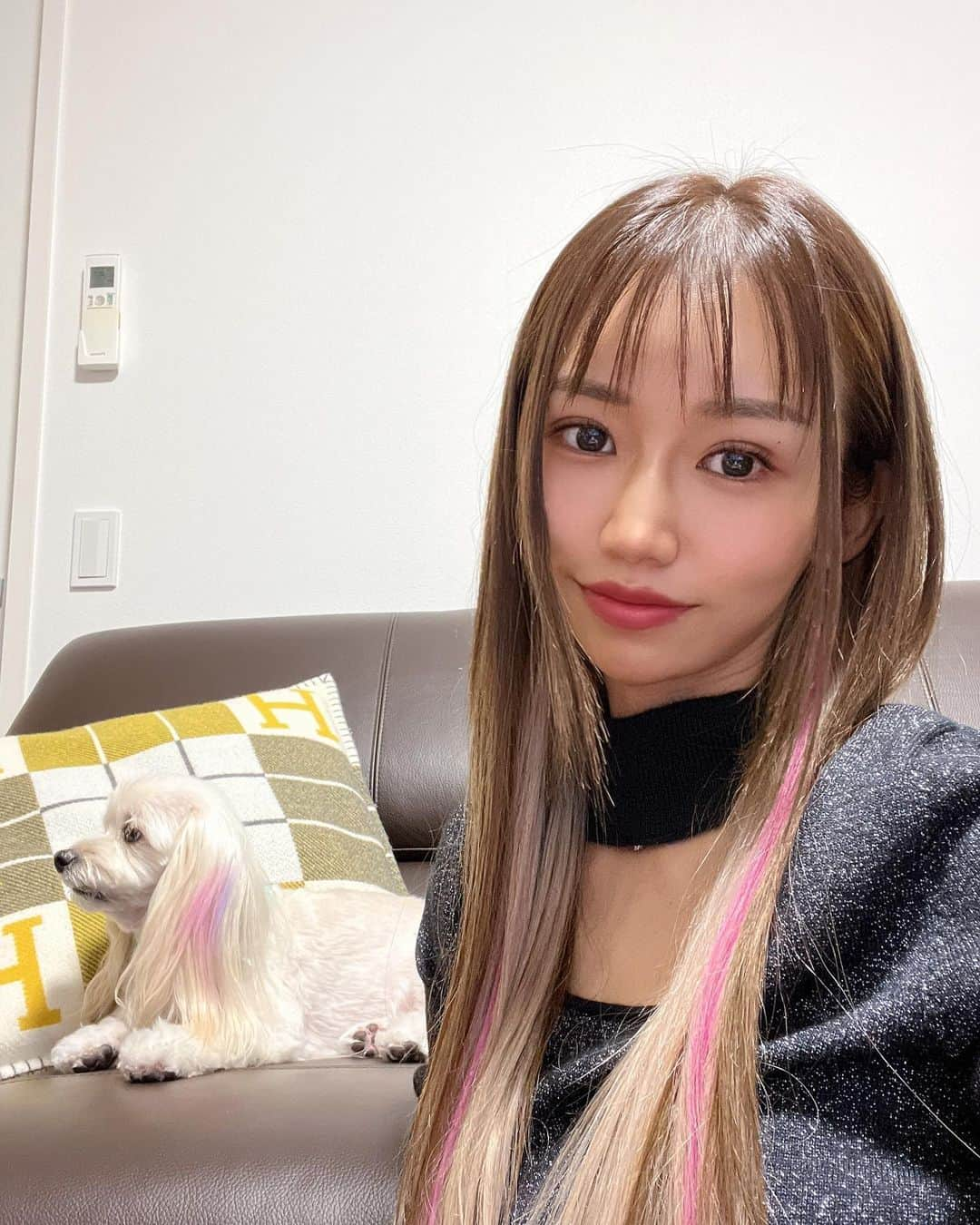 yu-yu.（友癒）のインスタグラム：「. お揃いヘアー🐶💓 3日でとったエクステ🤣  #マルックス #マルックス部 #マルックス同好会 #わんこ #わんこのいる暮らし #わんこのいる生活 #エクステ #エクステピンク #ヘアースタイル #ヘアアレンジ」