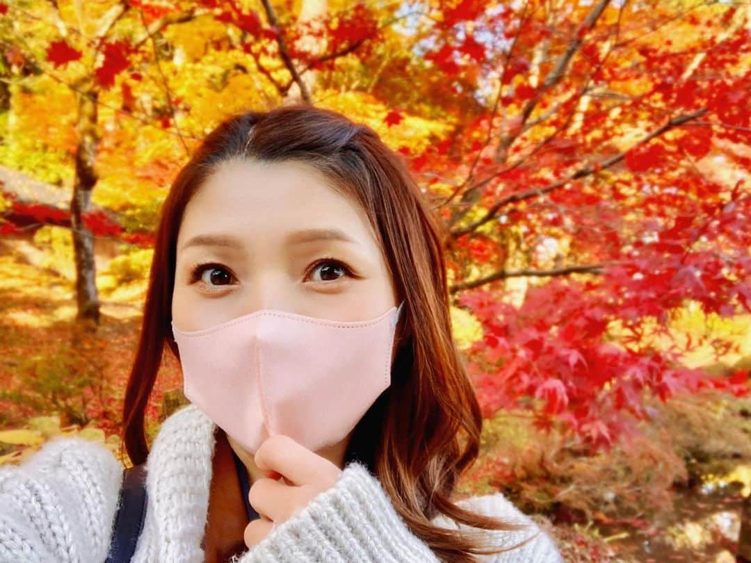 新田恵海のインスタグラム：「Autumn in Japan is beautiful🍁  #日本の秋 #紅葉狩り #autumn」