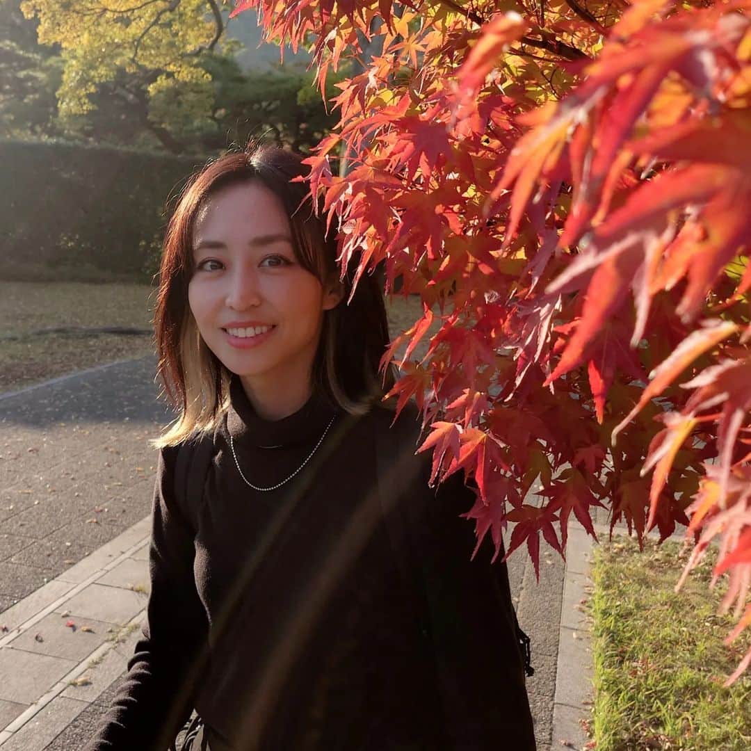 Yukiさんのインスタグラム写真 - (YukiInstagram)「家族と香川に旅行に行きました！  うどん堪能 金比羅山 旅館で飲み食べまくり 善通寺 栗林公園  めっちゃ楽しみました！  終わってしまって寂しいけどまた来年も何処か行きたい😍  みんなありがとう！  I had a great time with my family in Kagawa😍  #trip #香川 #ShotOnXperia  #TakenWithXperia」11月10日 22時27分 - d_drive_gt_yuki
