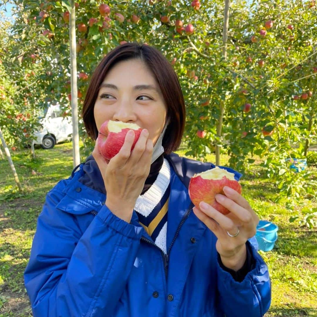 岩本乃蒼のインスタグラム：「食欲の秋🍂 りんご狩りへ…🍎 ⁡ と言っても、特別な思いのあるりんご畑です。 ⁡ 2019年台風19号で甚大な被害があった長野県。 千曲川の堤防決壊で 自宅や畑に大きな被害があったなか 話を聞かせてくださった りんご農家さんのもとへ 仕事の仲間たちと伺いました。 ⁡ あれから約3年。 『土壌が元通りに戻ることはない。 でも、今年は満足いくりんごがやっと出来たよ』と。 ⁡ あの時、収穫直前で赤く色づいているのに 泥を被ってしまったりんごたちを見て 胸が締め付けられるおもいでした。 ⁡ だからこそ、今年畑でいただいた もぎたてのひとくちめの美味しさは …言葉になりませんでした。 ⁡ 時が経ってもこうして お話しを聞かせていただけること、 普段なかなかできない経験をさせていただいたことに 改めて感謝の思いでいっぱいです🍀 ⁡ #信州 #りんご  #ふじ #秋映 #シナノゴールド #🍎  #newszero」