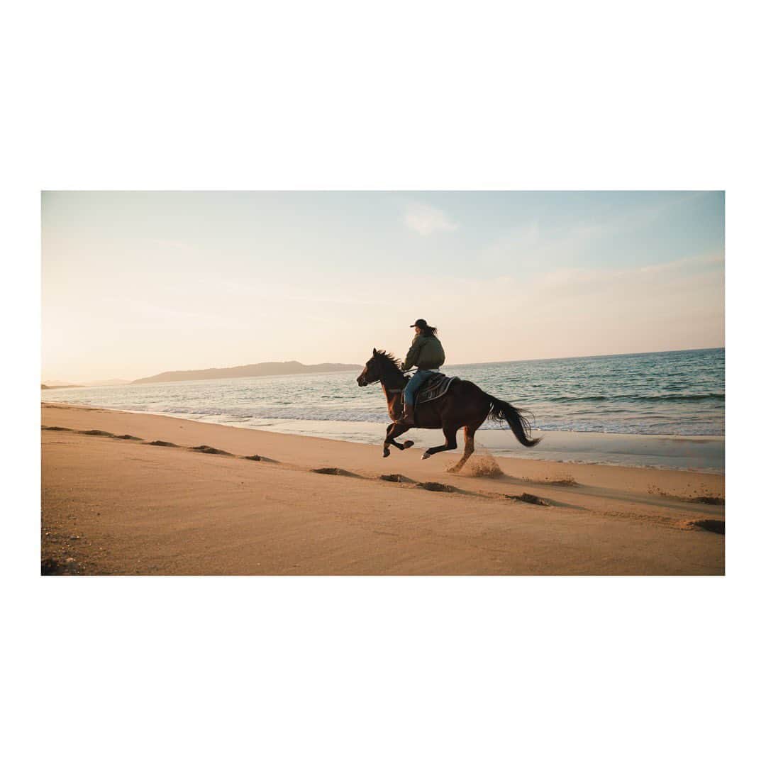 木村文乃さんのインスタグラム写真 - (木村文乃Instagram)「*** お天気にも環境にもロケーションにも 本当に恵まれて最高の旅でした。 カメラマン #関一也(@10kazuya10 )さんとは 海でも山でも陸でも何度もお仕事してるけど 今回の旅の写真と彩が一番好きかも。  17歳で乗馬と出会って 18年経った今も こうして楽しませて頂いて。 出来ることが増えて 出来ないことも増えたし これからどんどん増えて行くけど 好きなことはずっと好き。  人と人が繋ぐずっと好きっていいよね。  ね？♡  YouTubeも撮ってきたから 公開をお楽しみに♡  それではまた明日🫰🏻✨ *** オフィシャルYouTubeのリンクはプロフィールからどうぞ🤭✨  #九州 #福岡 #博多湾 #海の中道海浜公園  #大分 #久住高原 #幻の泉 #ココペリウエスタンライディング  #乗馬 #トレイルライド  🐴special thanks🐴 ボス♡さおりちゃん♡いずみママ ゆうまくんとともかちゃんもまたね🙌🏻  @fuminokimura_official」11月10日 23時58分 - uminokimura_official