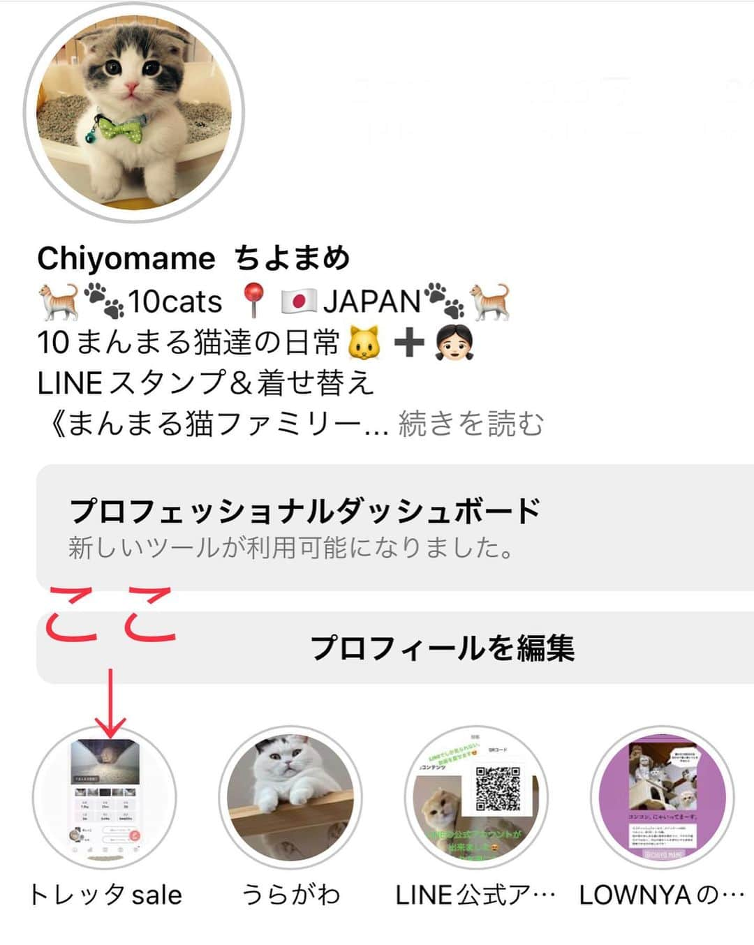 Chiyomame ちよまめさんのインスタグラム写真 - (Chiyomame ちよまめInstagram)「話題の猫トイレ🚽🐈 #トレッタ　@toletta.cat  尿の量や、体重まで測ってくれちゃう かしこい猫ちゃん用おトイレ🚽  まろん🌰ダイエットしなきゃね😂  多頭飼いでも、ちゃんとひとりひとりの管理ができるし、 毎日の体調管理がトイレに入るだけでできますよ✨ 我が家の10にゃん達も全員登録できました😍  尿量や回数、体重などの変化があったら アプリが注意するように伝えてくれたり 目で見るだけではわからない体調も 私に代わってしてくれています👀✨  🌟そんな優秀なおトイレ　#トレッタ　が、 15日まで半額で購入できます🌟 私のストーリーズのリンクからお得に購入できます💓 ２枚目画像の位置のハイライト（トレッタsale） からも飛べますよ👍  迷っている方はこの機会に始めてみて下さい😆 公式アカウント @toletta.cat  では 気になるQ&Aも沢山のっています🐈‍⬛🌟  @toletta.cat  #トレッタ #PR  #scottishfold_kikuhiko #ScottishFold_yuzu #ゆず丸#cats #catstagram #kitten #kitty #catsofinstagram #ilovemycat #catoftheday #lovecats #スコティッシュフォールド#ScottishFold #adorable #catlover #instacat #baby #babycat #thedailykitten#猫 #子猫」11月11日 16時24分 - chiyo.mame